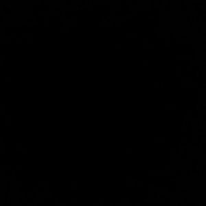 Meet your Posher, Rhiannon